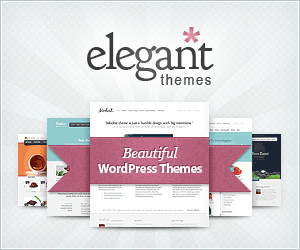 divi elegan theme-ada limas